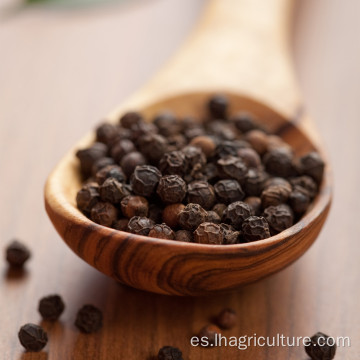 Pepper negro de Hainan de alta calidad a los clientes en todo el mundo
